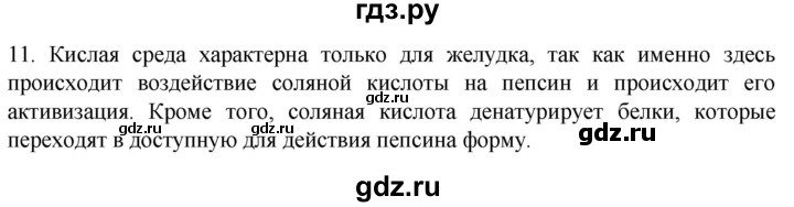 ГДЗ по биологии 9 класс Суматохин  Углубленный уровень часть 2 / §21 / объясните - 11, Решебник