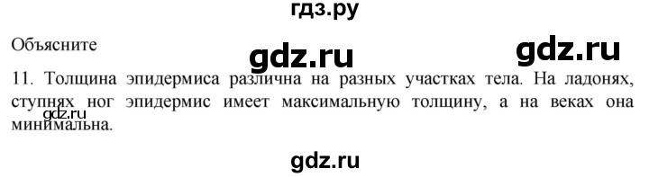 ГДЗ по биологии 9 класс Суматохин  Углубленный уровень часть 2 / §31 / объясните - 11, Решебник