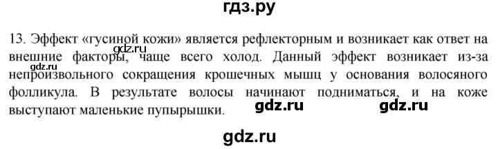 ГДЗ по биологии 9 класс Суматохин  Углубленный уровень часть 2 / §31 / объясните - 13, Решебник