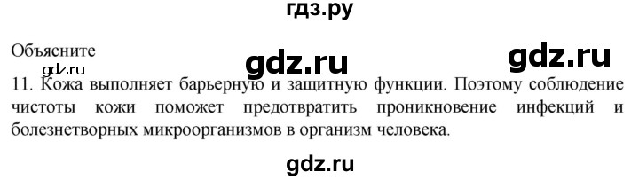ГДЗ по биологии 9 класс Суматохин  Углубленный уровень часть 2 / §33 / объясните - 11, Решебник